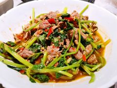 香菜炒牛肉-壹盏灯(惠农店)