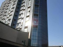 -Dark Horse·黑马蛋糕·低脂·低糖淡奶(金匙望湖大厦店)