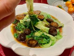冬菇扒蚝油生菜-金满楼(天河中路店)