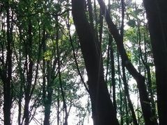 android_upload_pic-广州市帽峰山景区