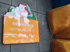 -海合安成都极地海洋公园