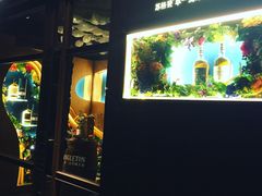 -麥坊俱樂部Maltfun Club