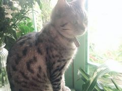 -小时光咖啡馆(北锣鼓巷店)