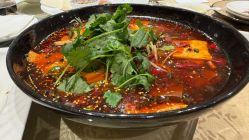 -新城花园酒店·宴会厅