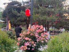 -后海彼岸花园餐厅