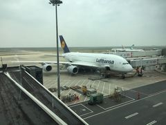 -德国汉莎航空公司