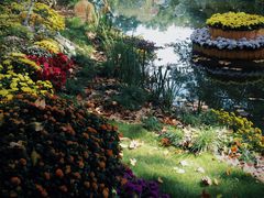 -上海共青森林公园