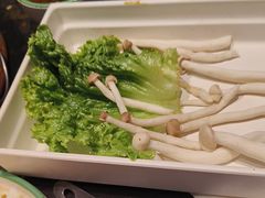 -南门四季铜锅涮肉(大屯·北苑店)