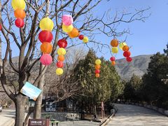 -北京十三陵国家森林公园蟒山景区