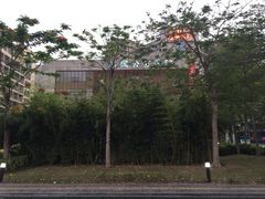 -南方医科大学深圳医院