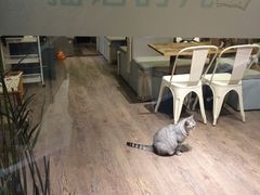 -小时光咖啡馆(开森度假森林店)
