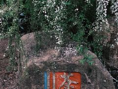 -中国茶叶博物馆(双峰馆区)