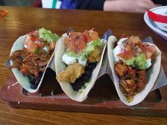 -Famous肥猫墨西哥音乐餐吧(五棵松华熙LIVE店)