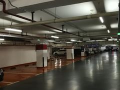 -莘庄龙之梦停车场