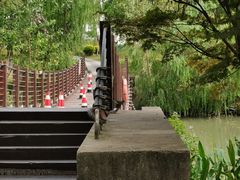 -九科绿洲
