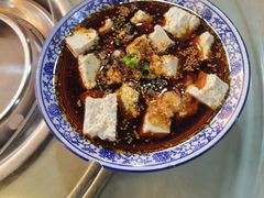 -都江堰石锅鱼