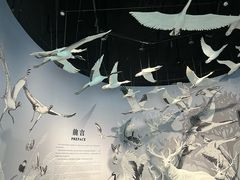 -中国湿地博物馆