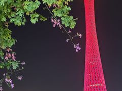 -珠江夜游广州塔·中大码头