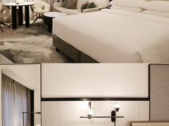 -新加坡乌节希尔顿酒店 (SG Clean)