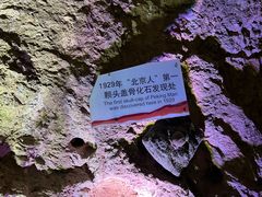 -周口店北京人遗址公园