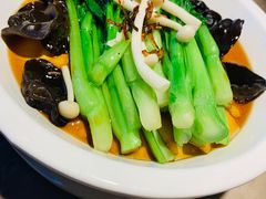 白灼菌菇菜心-新白鹿餐厅(金鹰新街口店)