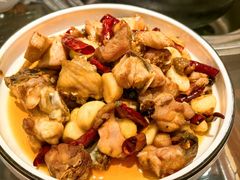 -志晖园圆子鸡·辣子鸡(阳光店)