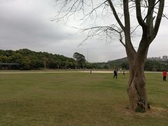 -大屏嶂森林公园