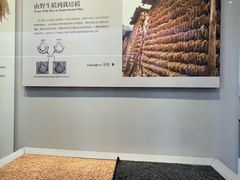 -良渚博物院