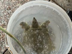 -粮心小农·大头虾亲子生态园(长发店)