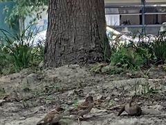 -左撇子私房面