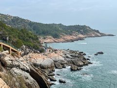 -广东惠东海龟国家级自然保护区