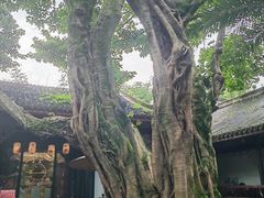 -成都武侯祠博物馆