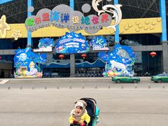 -泉城欧乐堡海洋极地世界