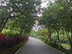 -广州白江湖森林公园