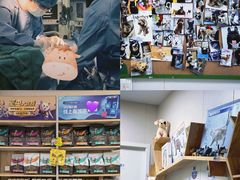 -美联众合爱康动物医院•复杂内科•肿瘤科•牙科•腔镜诊疗中心