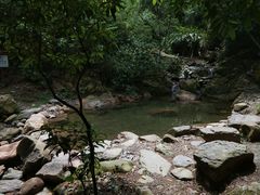 -羚羊峡古栈道森林公园