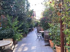 -The Grounds of Alexandria