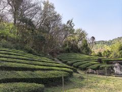 -敬亭山风景名胜区