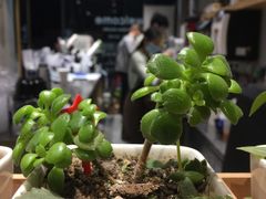 -徐小包(黎阳in巷店)