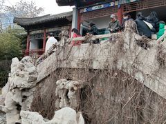-碑林公园