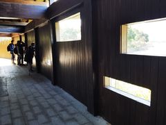 -福田红树林生态公园