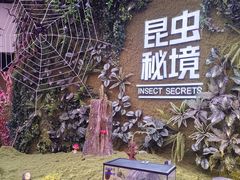 -陕西自然博物馆