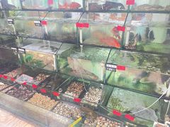 -李妹海鲜大排档(星海湾花园小区店)