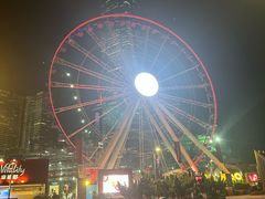 -Big Bus Tours 敞篷观光巴士