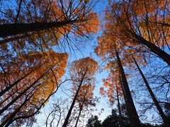 -国家植物园南园