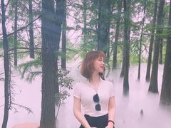 -东湖落雁景区