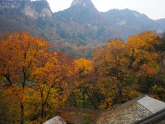 -北京上方山国家森林公园