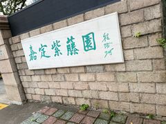 -嘉定紫藤园
