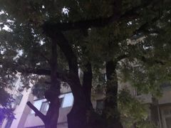 -年记·兴顺斋 牛街清真熟食小吃店