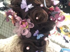 -艺采红鹰职业培训学校